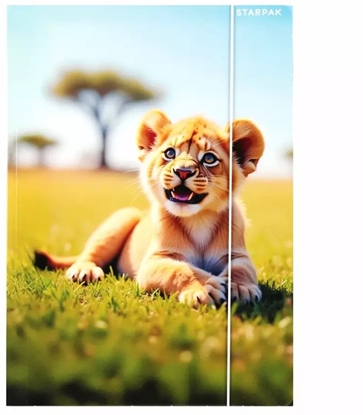 Изображение TECZKA Z GUMKA PAP A4 WILD ANIMAL STK FOL10/100