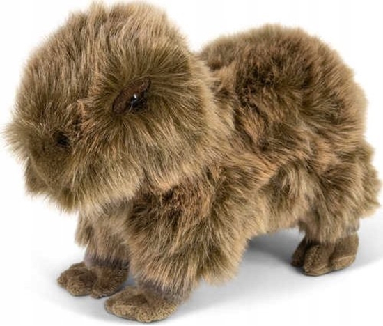 Picture of Teka Kapibara