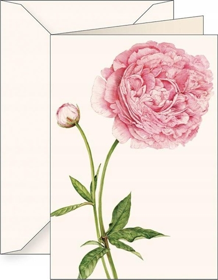 Picture of Teka Karnet B6 + koperta 6136 Piwonia chiska 2