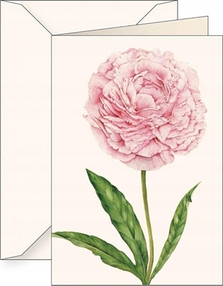 Picture of Teka Karnet B6 + koperta 6141 Piwonia chiska