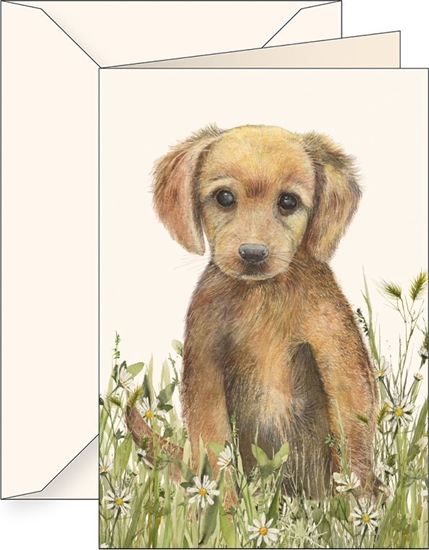 Picture of Teka Karnet B6 + koperta 6181 Br±zowy szczeniak