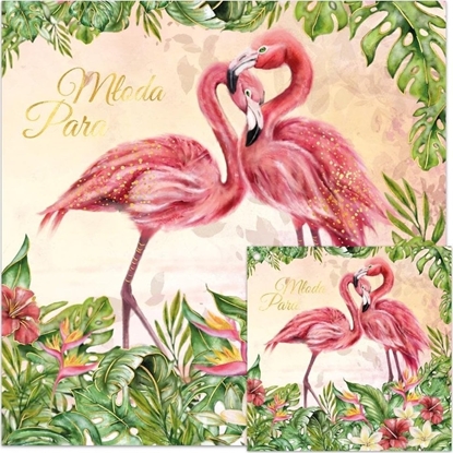 Picture of Teka Karnet KWD ¶lub flamingi