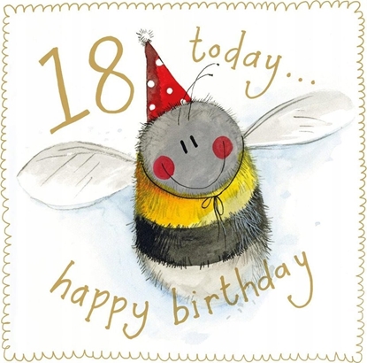 Picture of Teka Karnet Urodziny 18 S541 Pszczóka