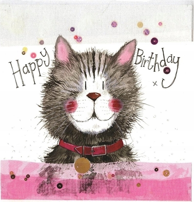 Picture of Teka Karnet Urodziny S288 Kot w obroy