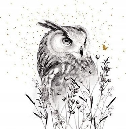 Picture of Teka Karnet Zocony kwadrat CL3817_BL Sowa