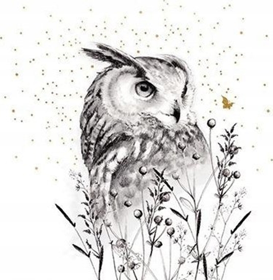 Picture of Teka Karnet Zocony kwadrat CL3817_BL Sowa