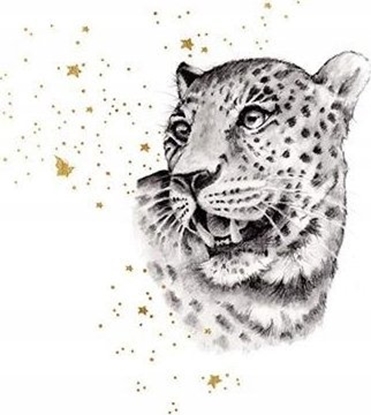 Picture of Teka Karnet Zocony kwadrat CL3819_BL Gepard