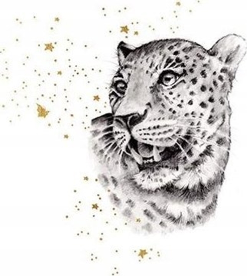 Picture of Teka Karnet Zocony kwadrat CL3819_BL Gepard