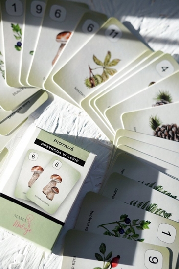 Picture of Teka Karty Piotru¶ - Pojazdy