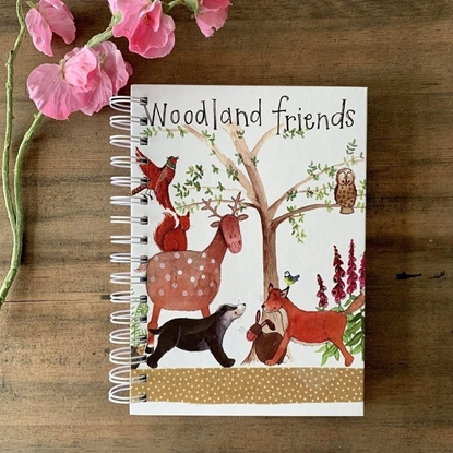 Picture of Teka Koonotatnik A5 SJ12 TW Le¶ni przyjaciele