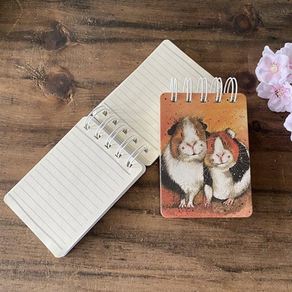 Picture of Teka Koonotes A7 SSN58 winki morskie