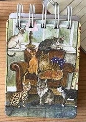 Picture of Teka Koonotes A7 SSN60 Dom peen kotów