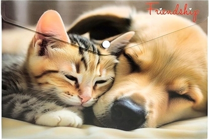 Picture of Teka Koperta A4 PP na nap z nadrukiem Friendship