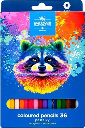 Изображение Teka Kredki 3554 Szop 36 kolorów