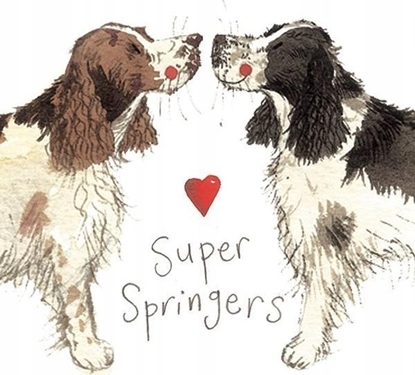 Picture of Teka Magnes FM02 Springer spaniel