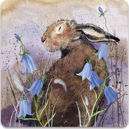 Picture of Teka Magnes FM176 Zaj±c