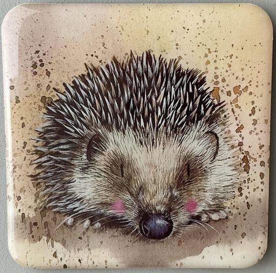 Picture of Teka Magnes FM188 Je Harriet