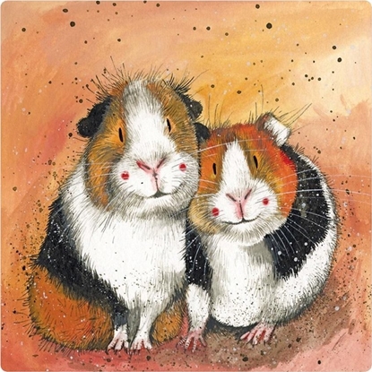 Picture of Teka Magnes FM205 ¦winki morskie