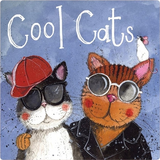 Picture of Teka Magnes FM221 Cool cats