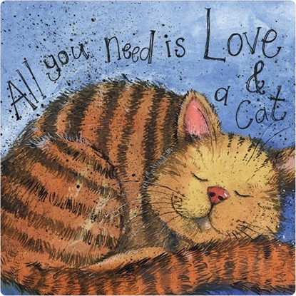 Picture of Teka Magnes FM223 Mio¶c i kot