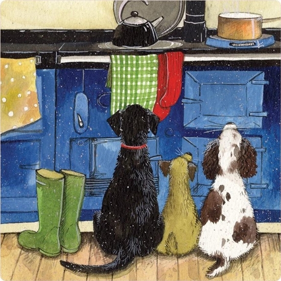 Picture of Teka Magnes FM224 Psy w kuchni