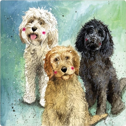 Picture of Teka Magnes FM229 Psy Cockapoo