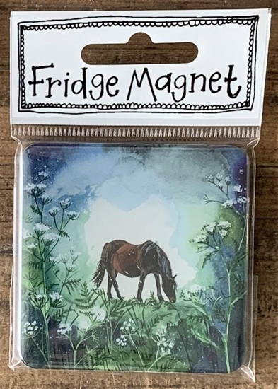 Picture of Teka Magnes FM244 Ko