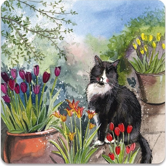 Picture of Teka Magnes FM246 Kot Roderick w ogrodzie