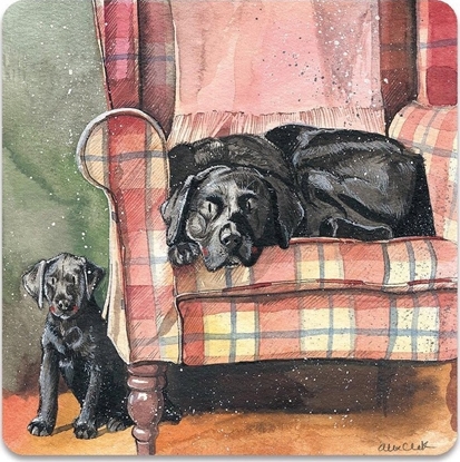 Picture of Teka Magnes FM247 Psy Sophie&Scarlett