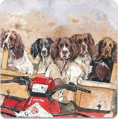 Picture of Teka Magnes FM250 Psy Spaniele