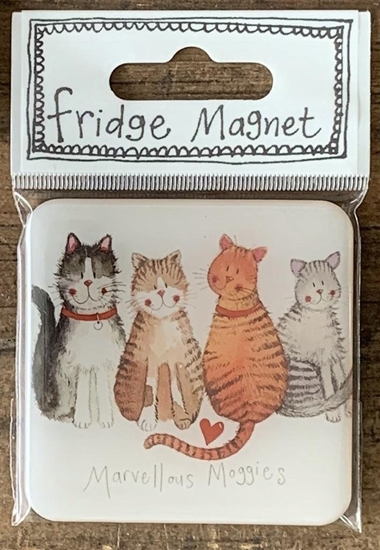 Picture of Teka Magnes FM27 4 koty