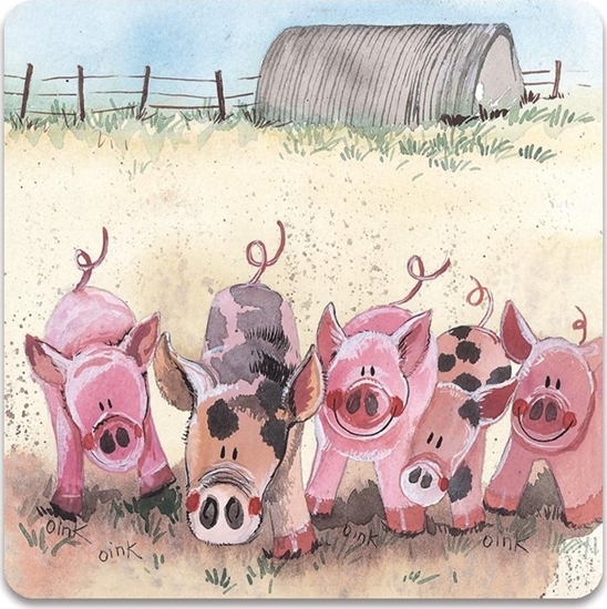 Picture of Teka Magnes FM60 ¦winki