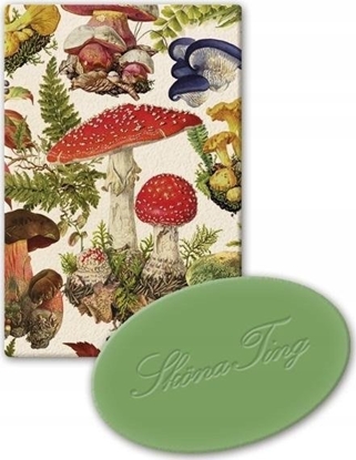 Picture of Teka Mydeko ozdobne STTVAL617 zapach jabkowy