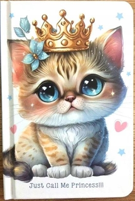 Picture of Teka Notatnik 140x95/64K gadki Kotek w koronie FRESH