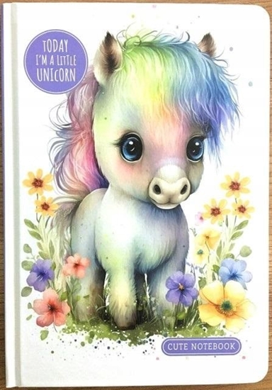 Picture of Teka Notatnik A5/64K linia Jednoroec FRESH