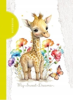 Picture of Teka Notatnik ozdobny 105x148/48K kratka TW yrafa