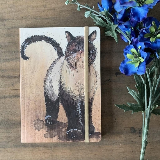 Изображение Teka Notatnik z gumk± A5 LCN08 Kot Coco