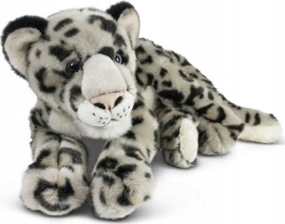 Picture of Teka Pantera niena