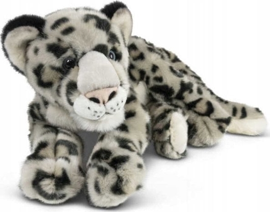 Picture of Teka Pantera niena