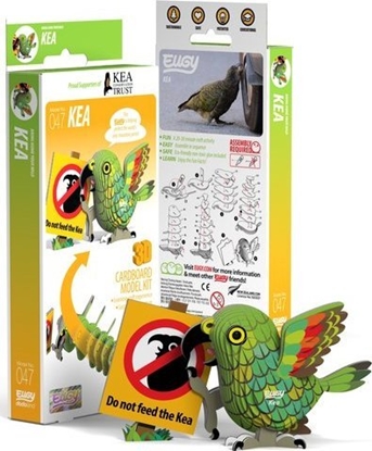 Picture of Teka Papuga Kea Eugy. Eko Ukadanka 3D