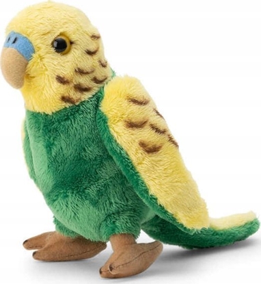 Picture of Teka Papuka Falista