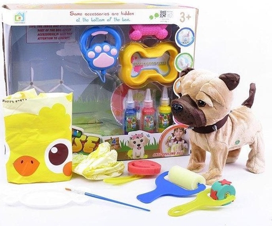 Picture of Teka Piesek chodz±cy + akcesoria