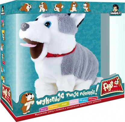 Picture of Teka Piesek Figo ruch I dwik