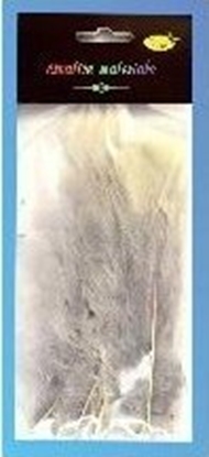 Picture of Teka Piórka mikkie jasnoszare 15szt