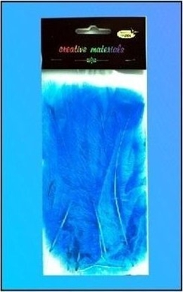 Picture of Teka Piórka mikkie pacyfik 15szt