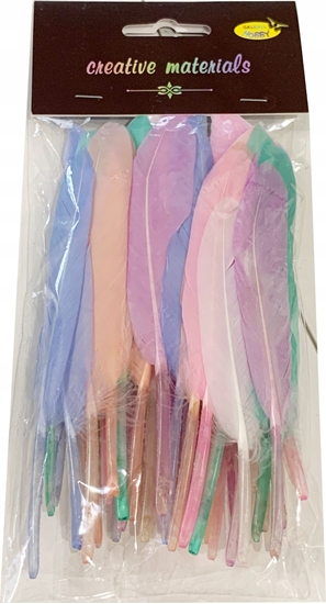 Picture of Teka Piórka twarde jasnoróowe 10szt