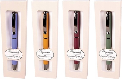 Изображение Teka Pióro wieczne Master Gun w etui GB