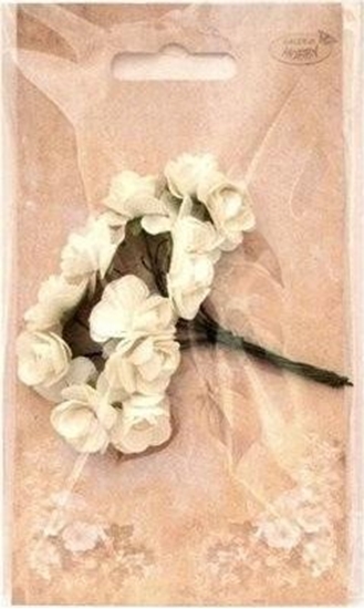 Picture of Teka Róyczki papierowe odcienie bieli MIX 12szt