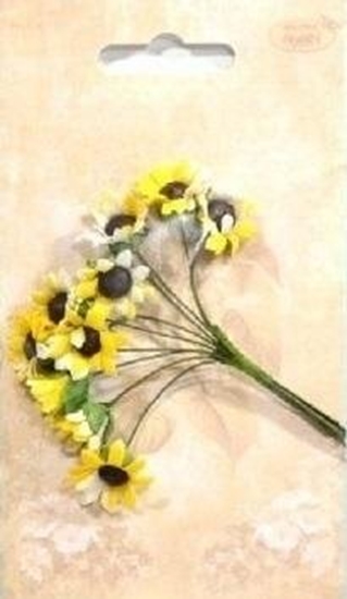 Picture of Teka Soneczniki papierowe 10szt naturalne