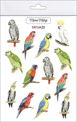 Attēls no Teka Tatuae zmywalne Papugi